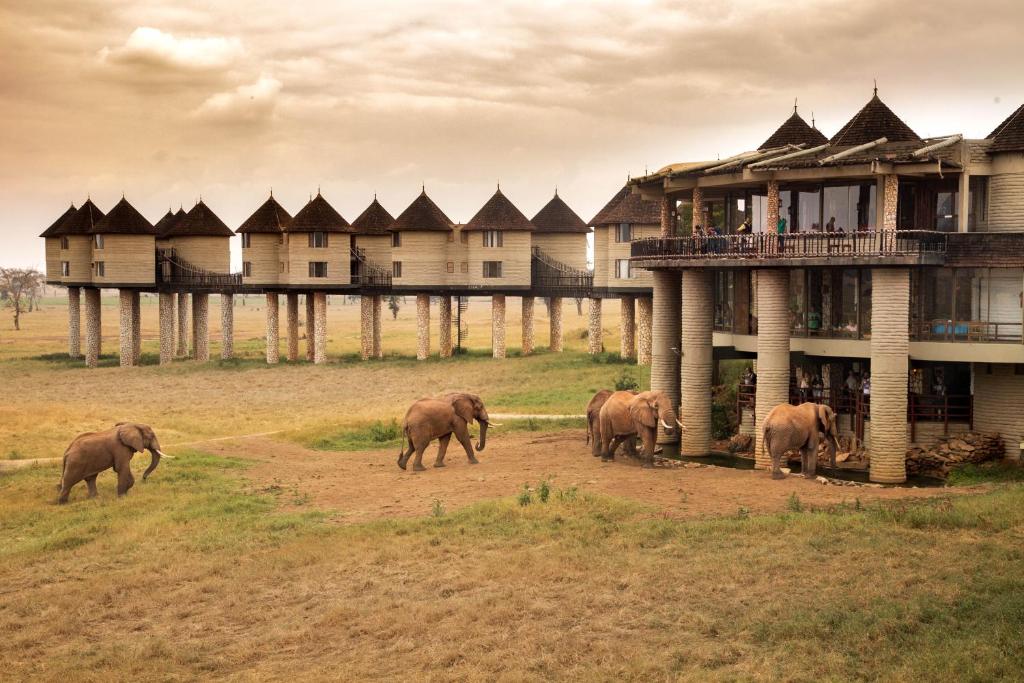 5 Days Tsavo East, Amboseli, Tsavo West & Saltlick Lodge Safari