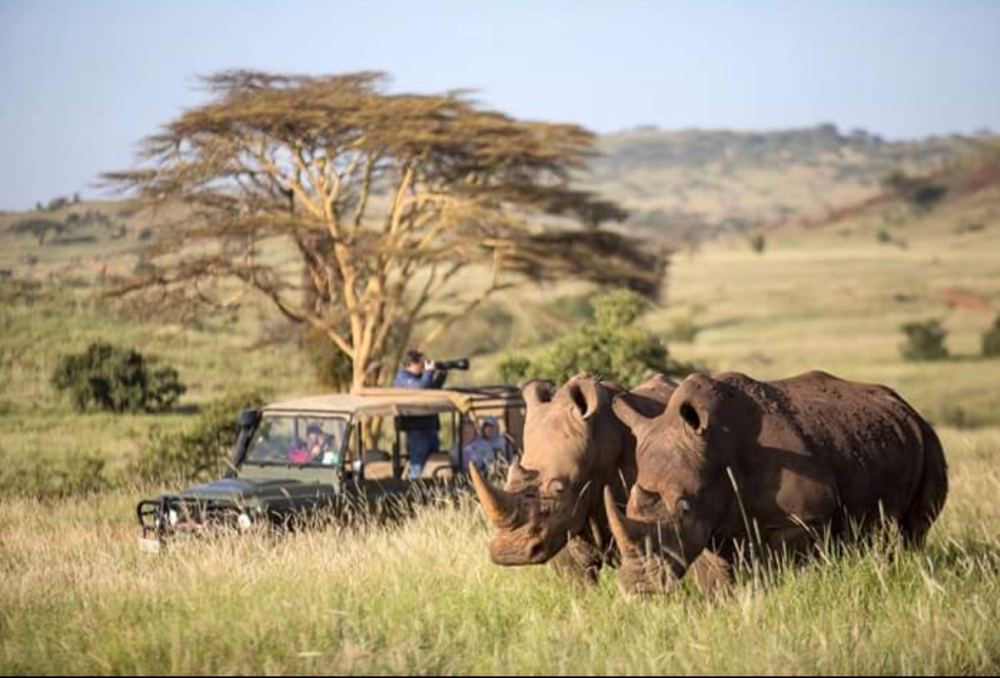 Kenya Safari