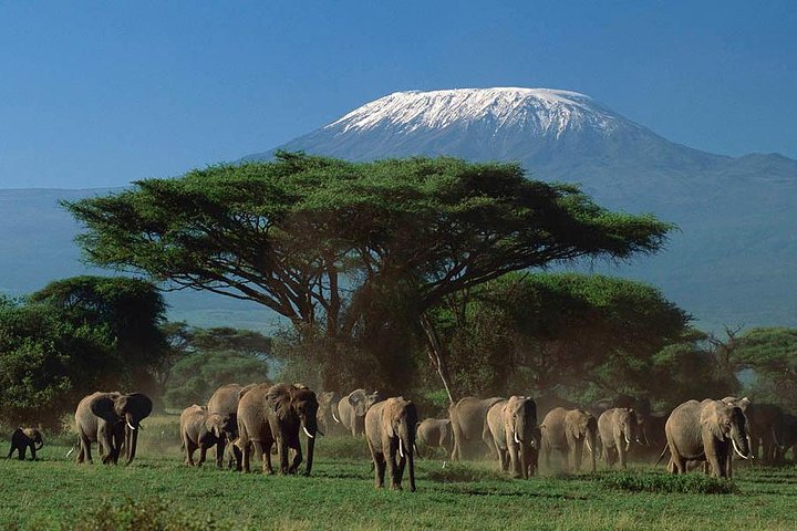 3 Days Amboseli National Park Private Safari