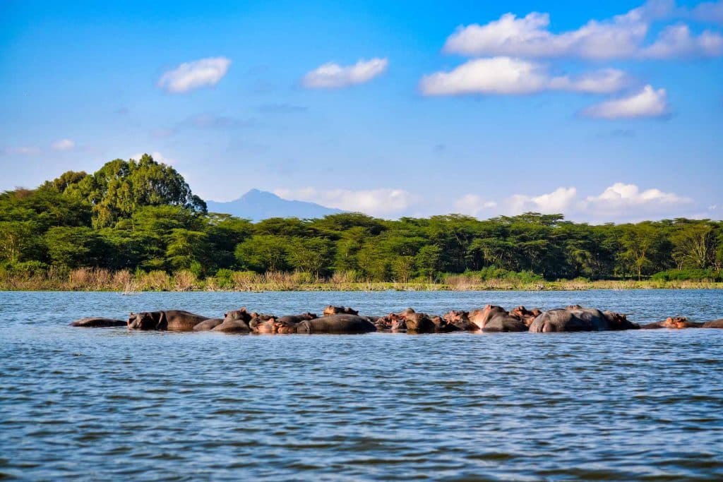 7 Days Amboseli, Lake Nakuru & Masai Mara Safari