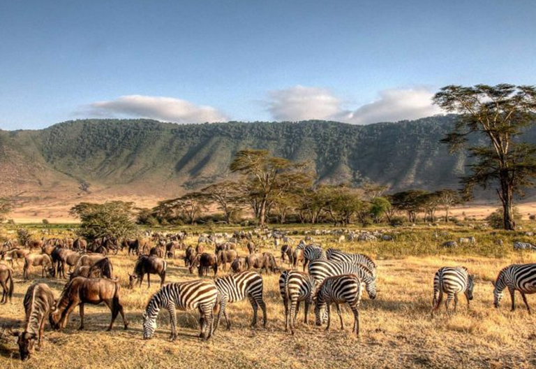 4 Days Tanzania Safari to Ngorongoro & Serengeti National Park