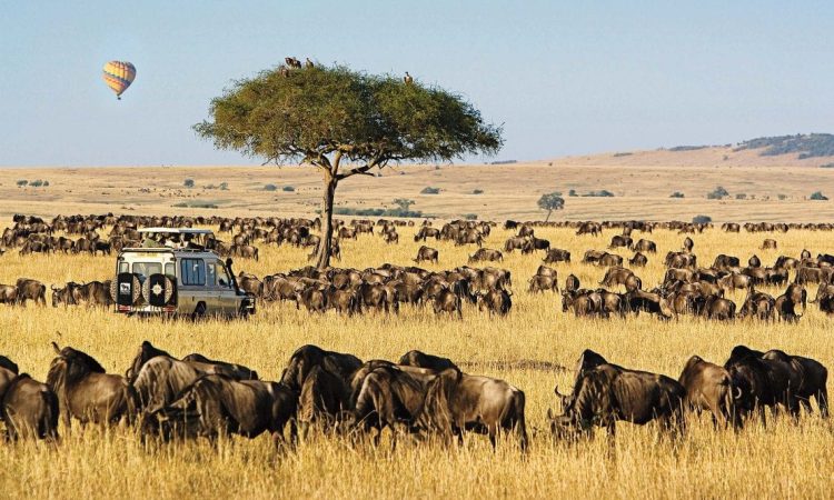 5 Days Masai Mara Wildlife Safari Adventure