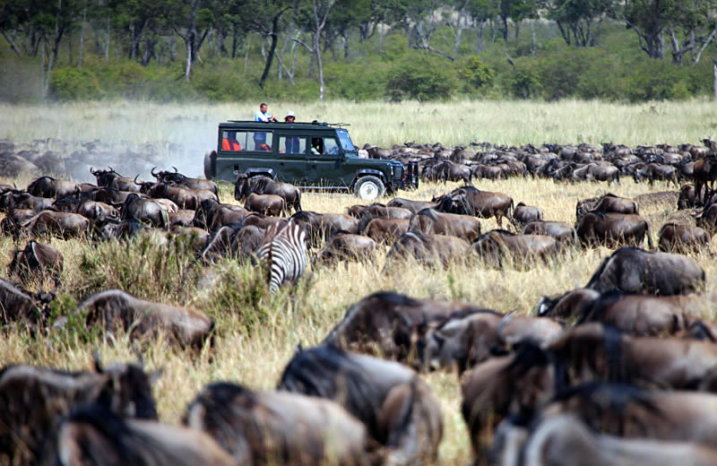 7 Days Kenya Safari in 4 X 4 Land Cruiser Jeep