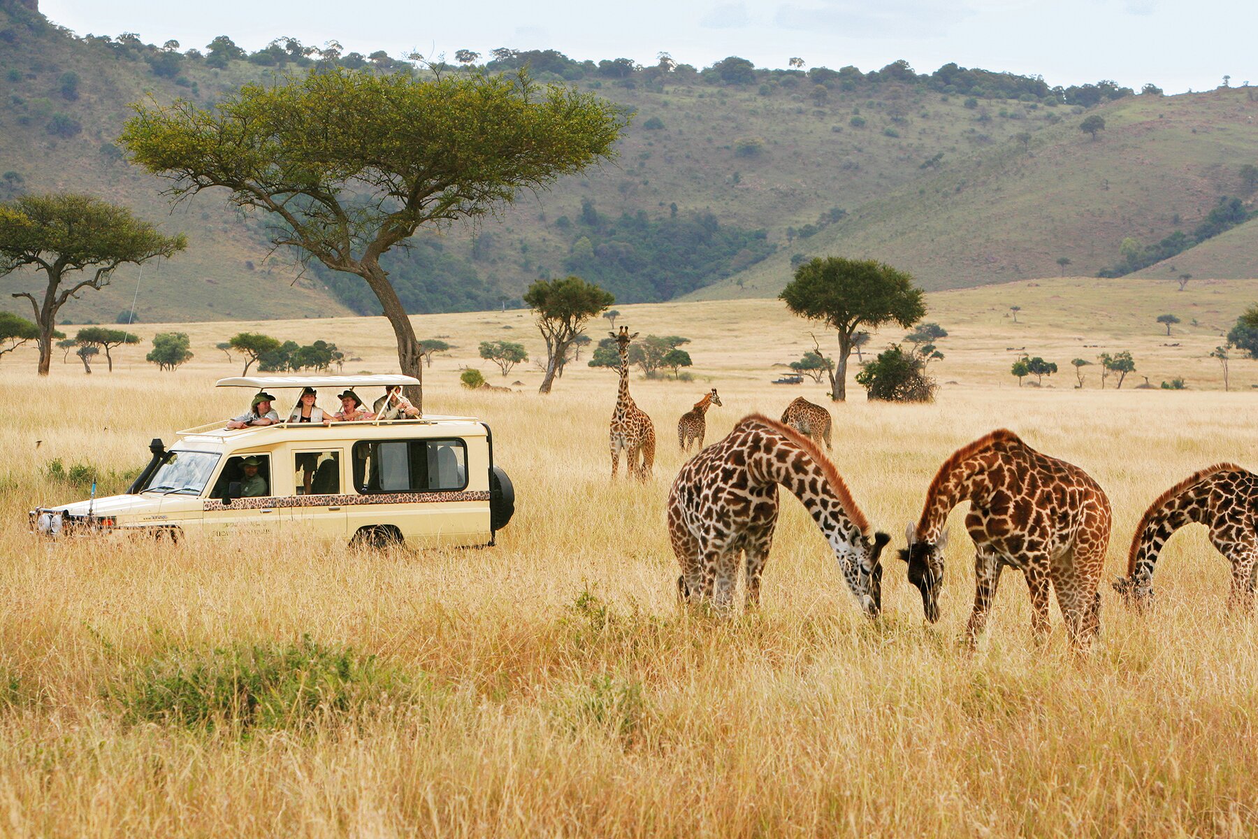 13 Days Kenya & Tanzania Mid Range Wildlife Safari