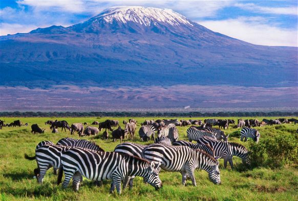 9 Days Masai Mara, Serengeti & Ngorongoro Safari