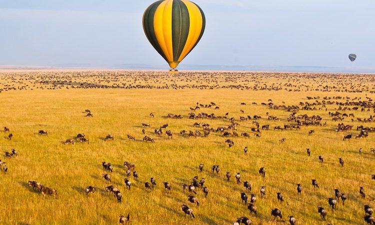 8 Days Luxury Flying Safari to Amboseli, Samburu & Masai Mara