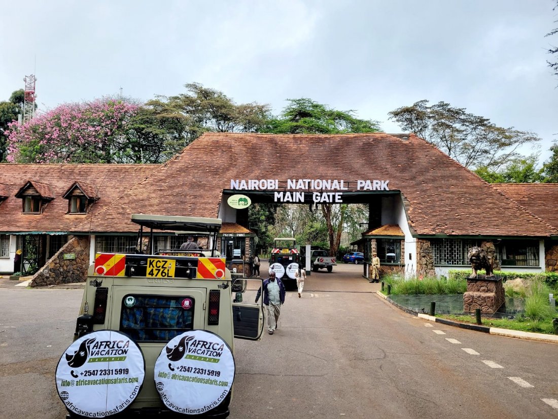 Nairobi National Park Day Tour