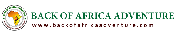 Back Of Africa Adventure logo